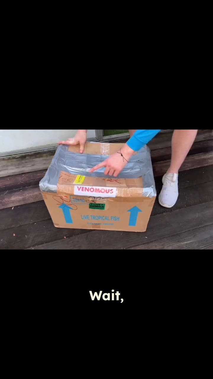 Unboxing a Deadly Dark Web Mystery Box