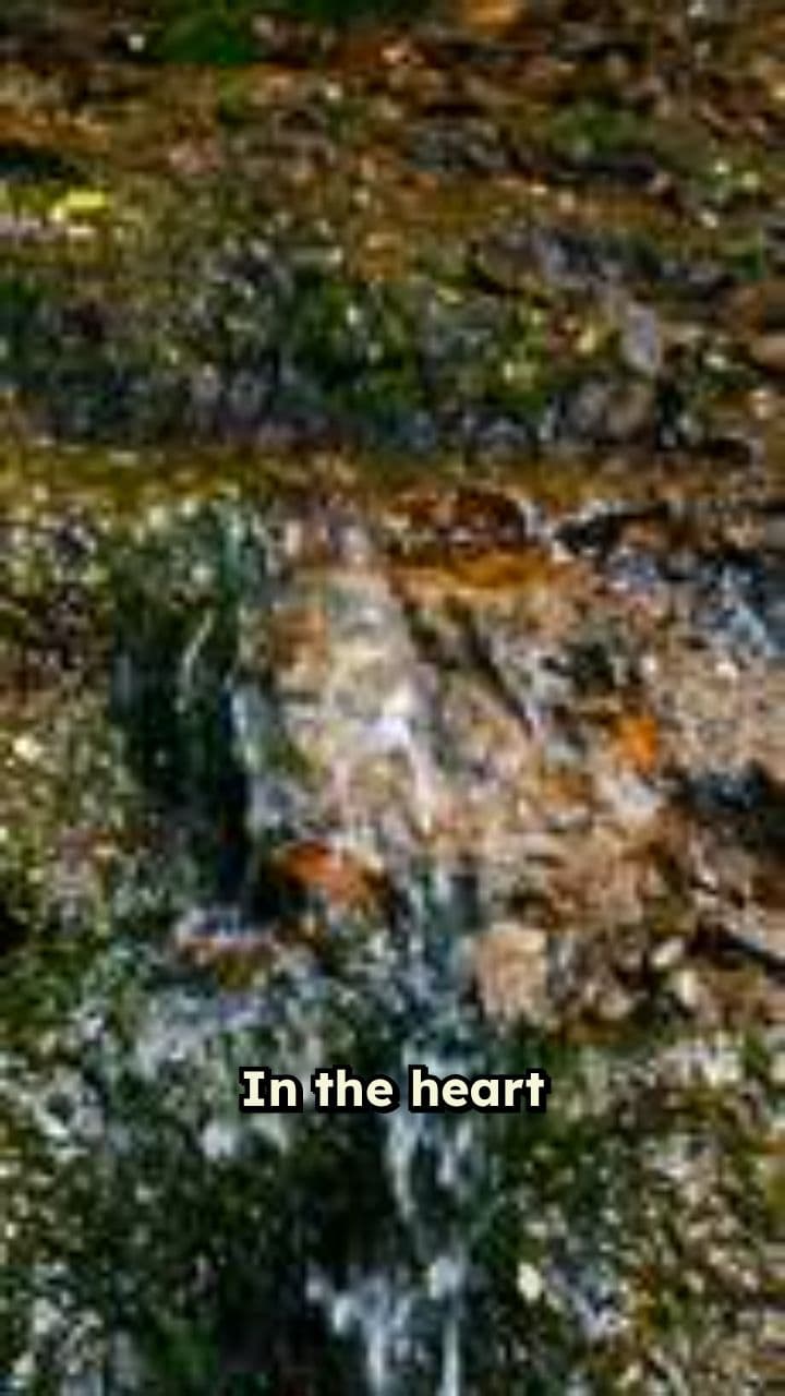 Warsaw's Leaping Rabbit