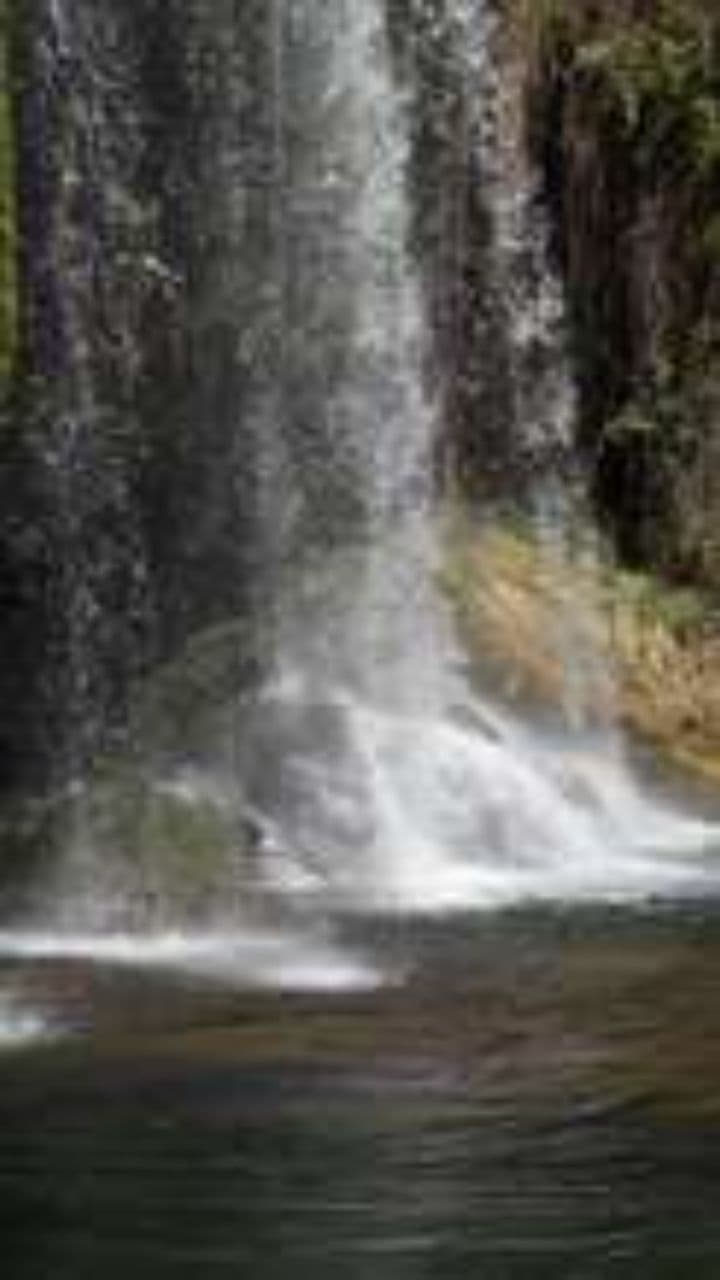 Understand First, Use AI Wisely