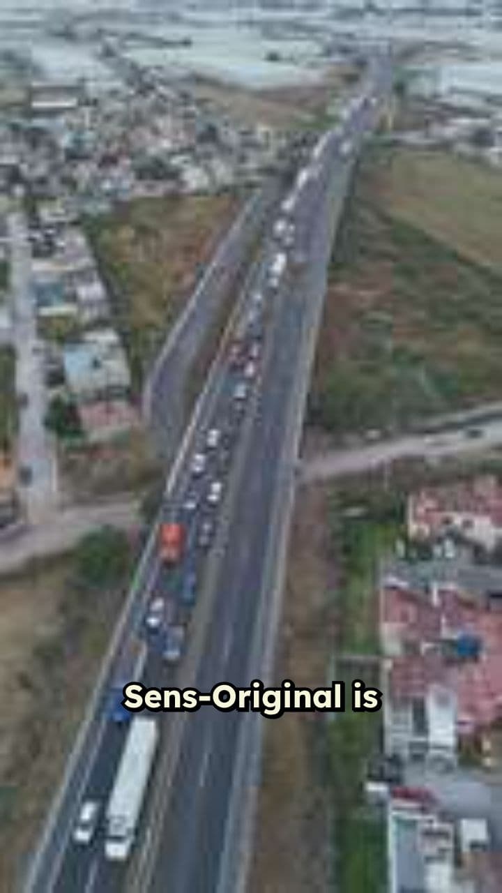 Fix Broken SEO and Recover Traffic