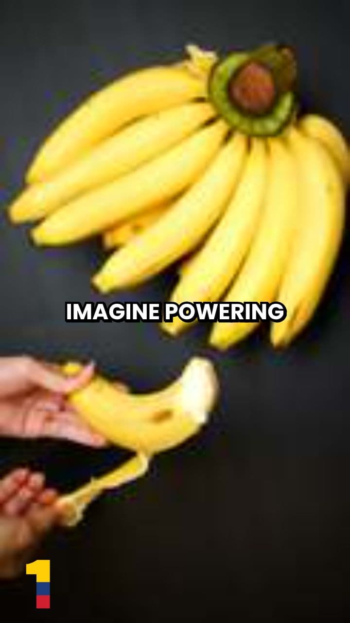 Banana Peel Batteries Power a Cleaner Future