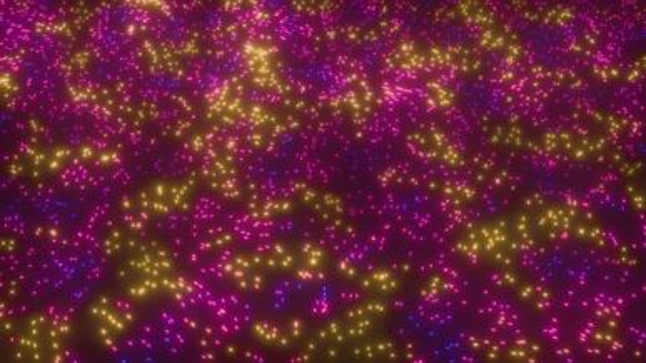 Друг без тени