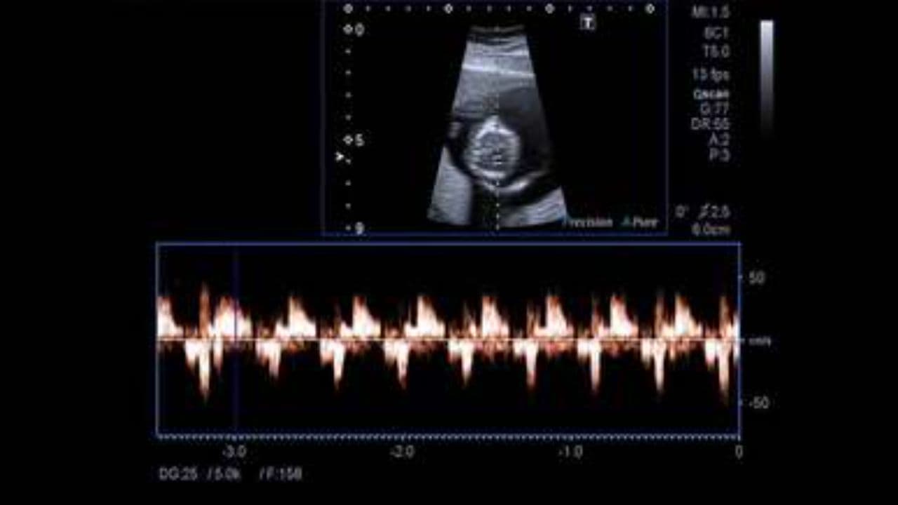 La esencia de la familia