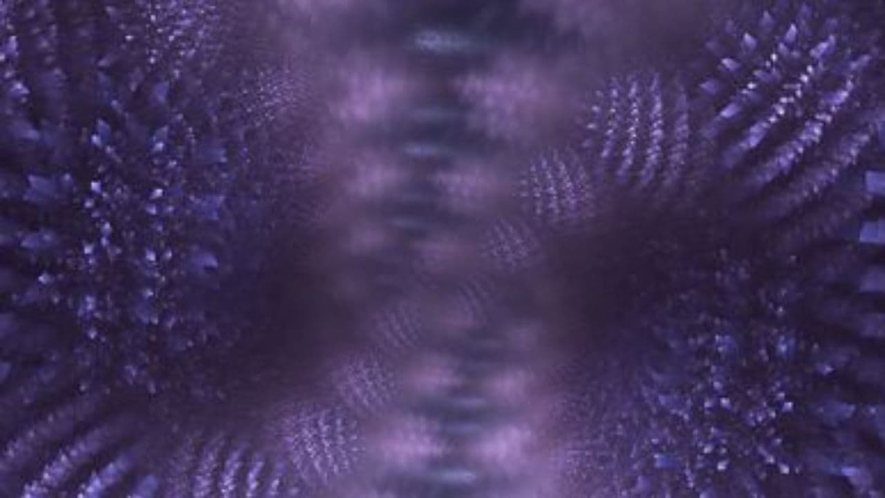 Prokletstvo uspeha i zavisti