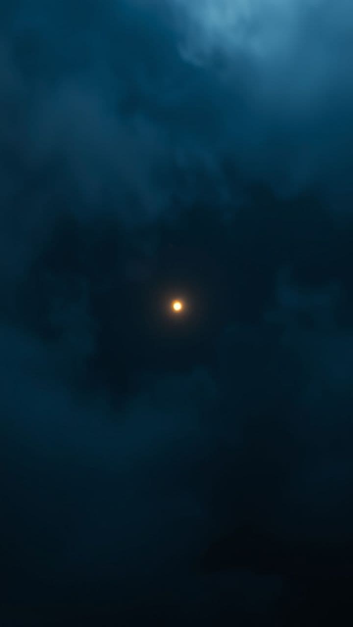 Together We Are Genius Leaders