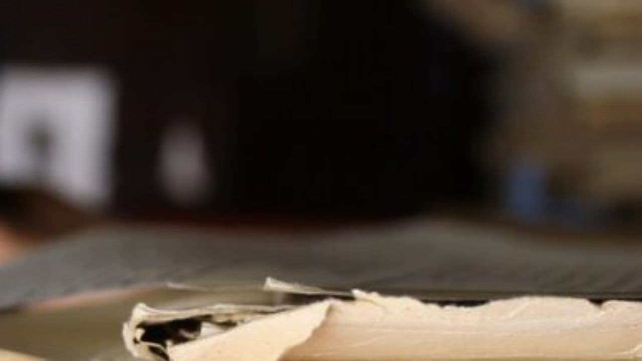 The Untold Journey of America