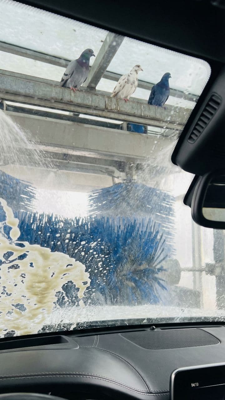 The Car Wash Surprise