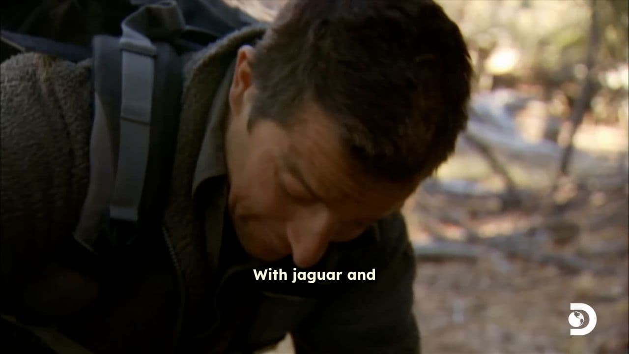 Found a Mountain Lion's Kill, But There Are Bears