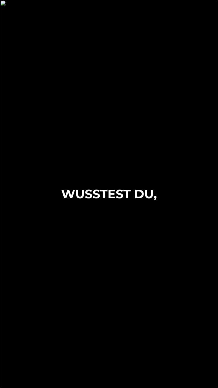 Hunde und das Unsichtbare