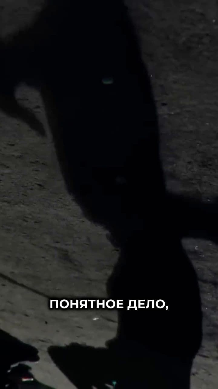 Скандал с лозунгом "Жизнь ворам" и публичные извинения