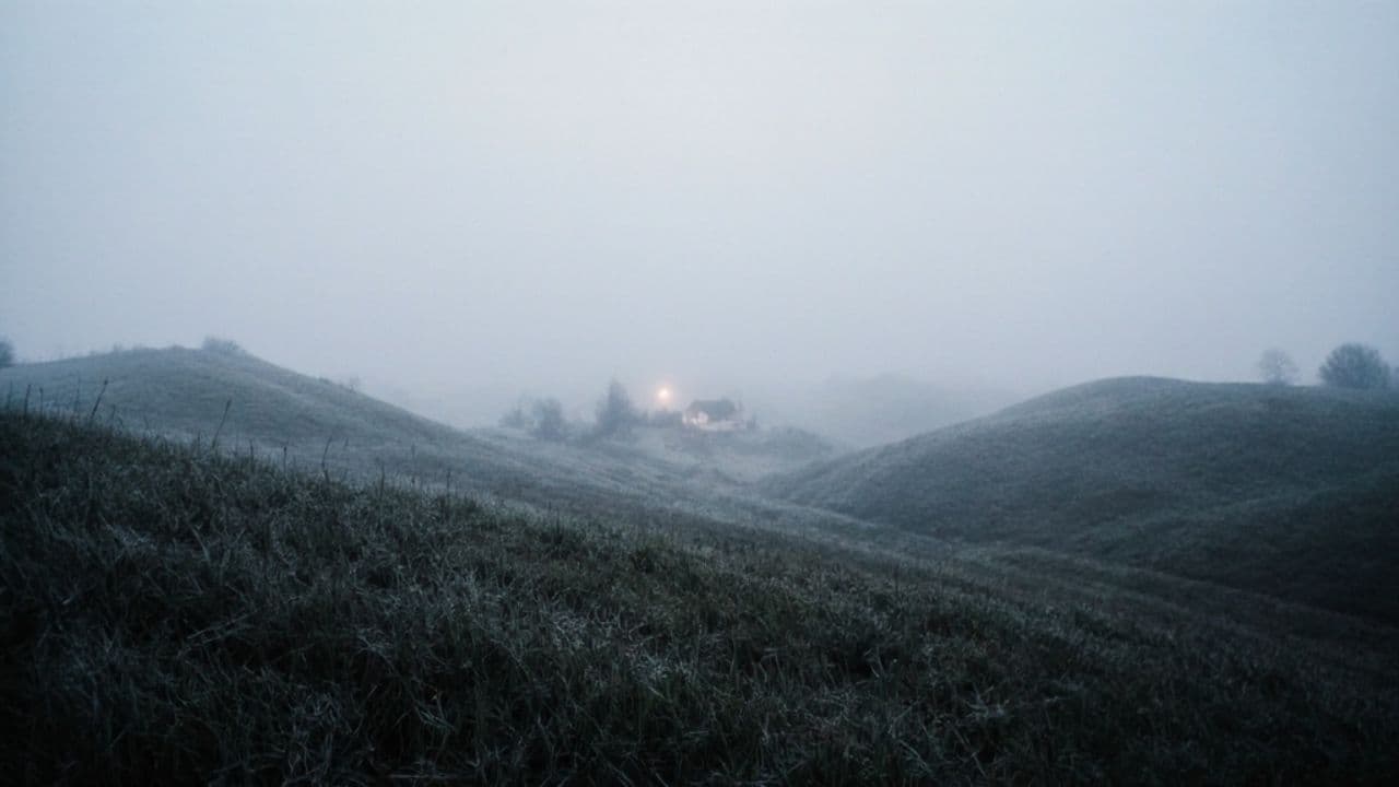 Hanno seminato la rabbia