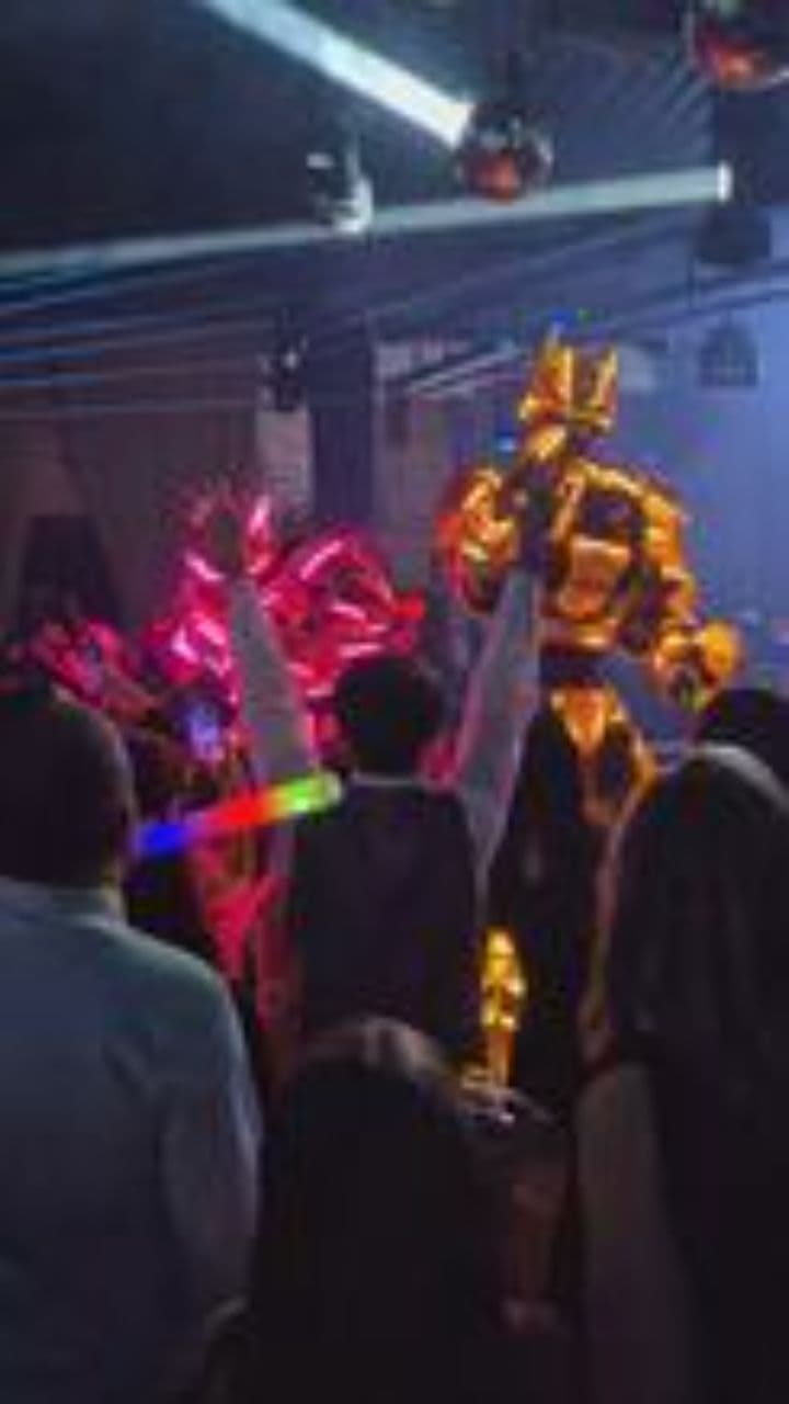 Animal Party Tonight