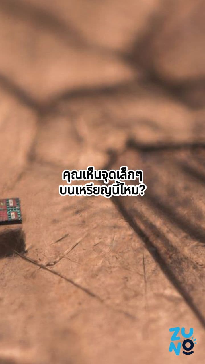 นักวิจัยพัฒนาหุ่นยนต์จิ๋วที่สุดในโลก