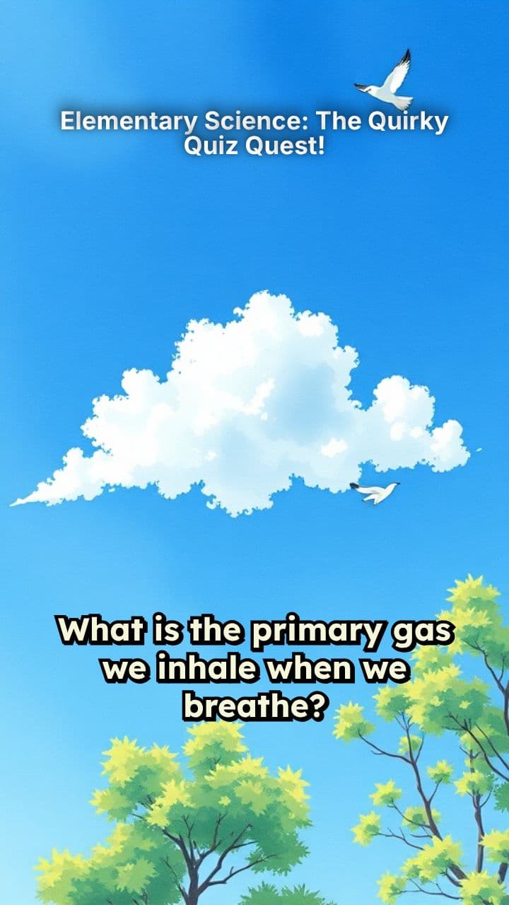 Elementary Science: The Quirky Quiz Quest!