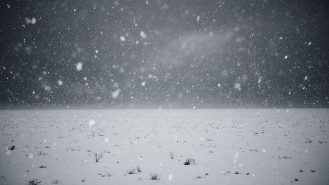 Blizzard Bowl: A December Celebration