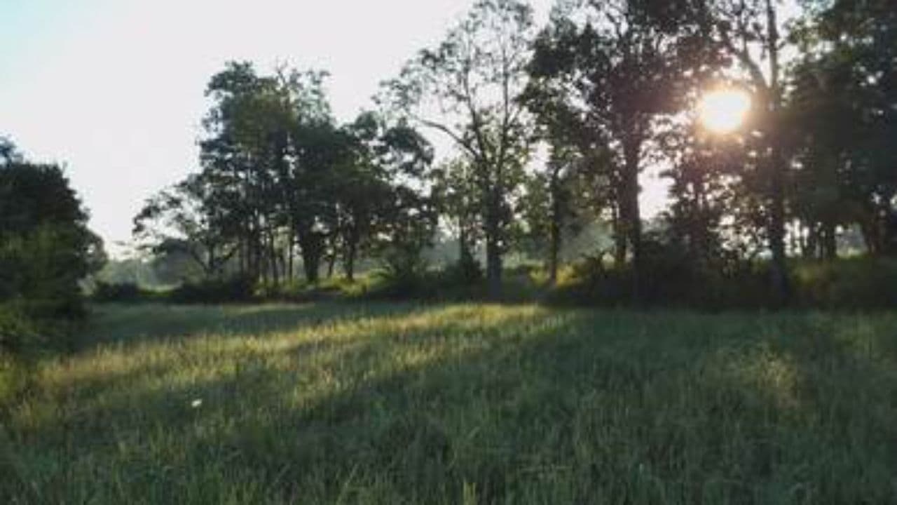 Injury Law, P.A. Advertisement