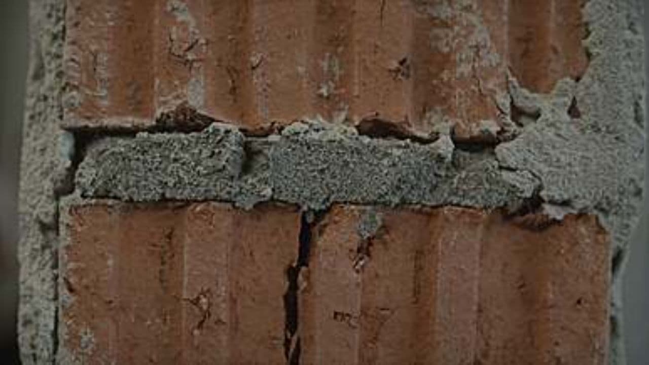 Ombre della realtà e del dolore