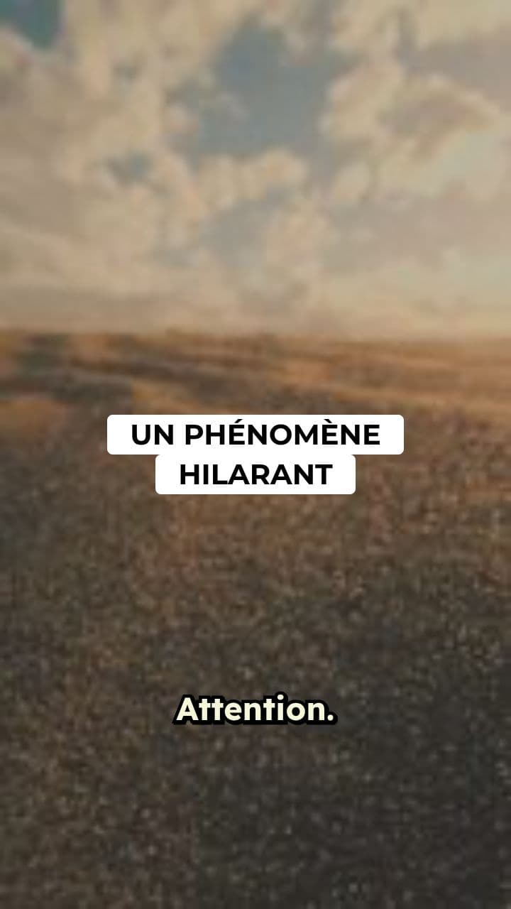 Les Chèvres Perchées du Maroc