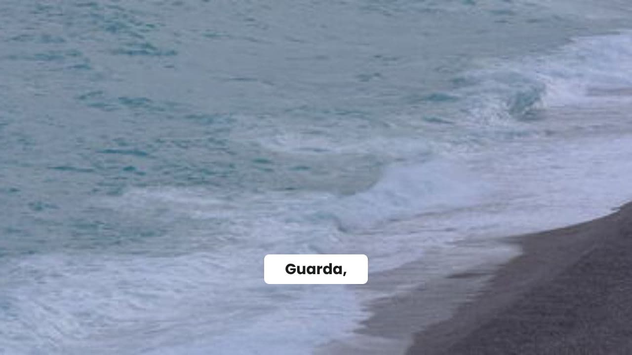 La Danza Del Coccodrillmela