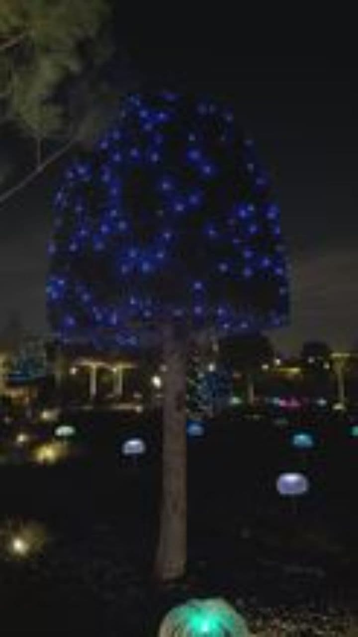 Mensaje especial de Papá Noel