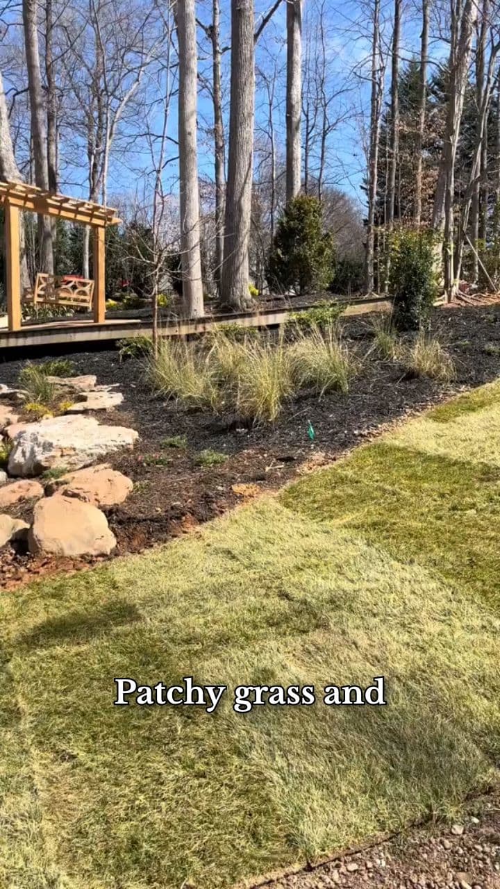 Instant Green: Georgia Sod Transformation