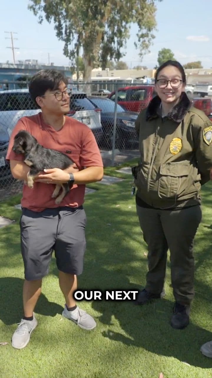 Rescuing Rhinos from a Helicopter