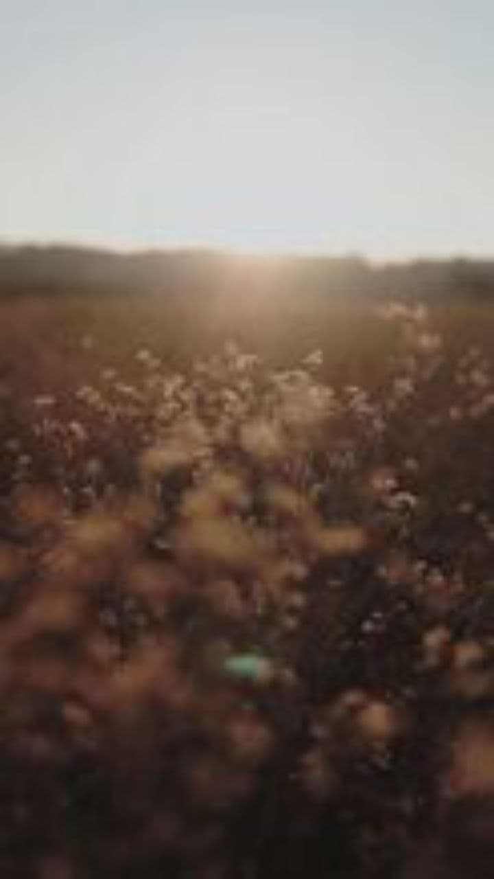 Cuatro Meses de Amor Eterno