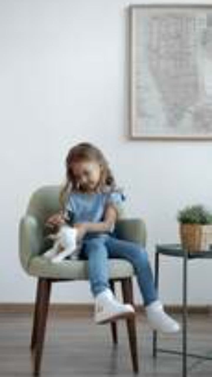 เสือกลับบ้าน