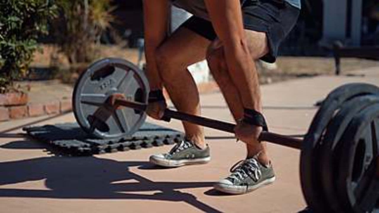 پنج مدل انسان احمق