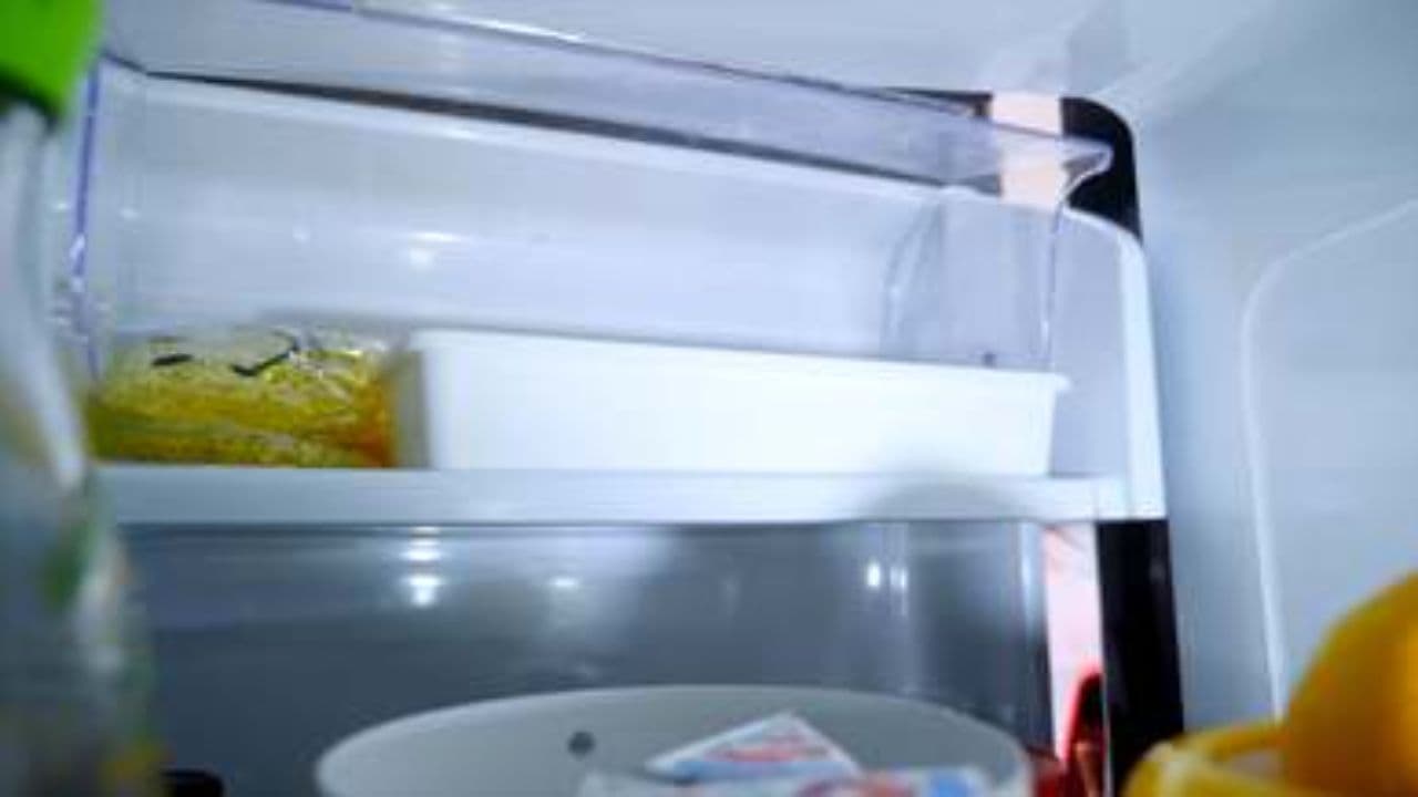 Save Food, Save the Planet