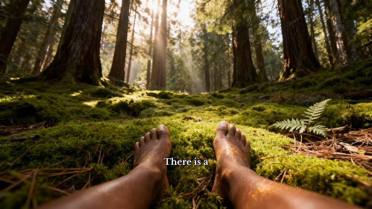 Grounding in the Forest