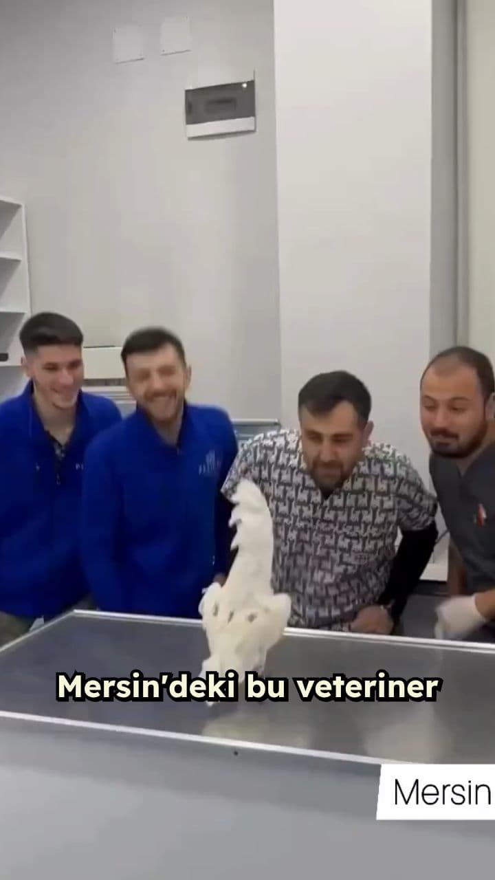 Papağanla Dans Eden Veterinerler