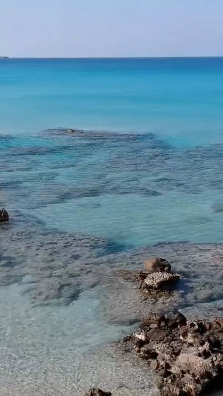 Nature's Astonishing Wonders