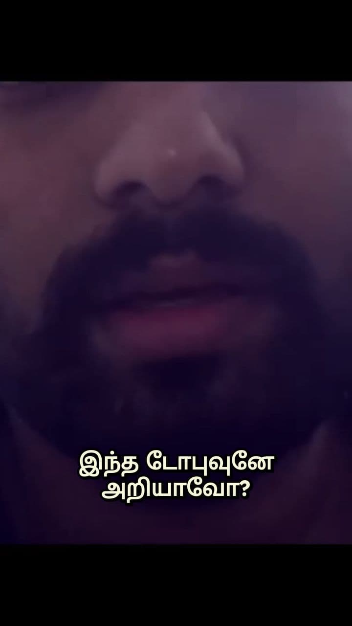 டோபு பாய்