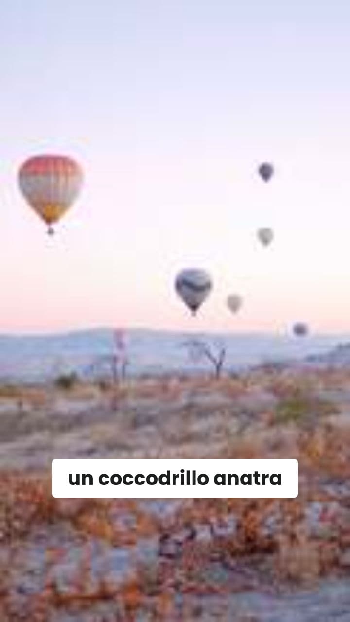 Il bombardamento del gatto mongolfiera