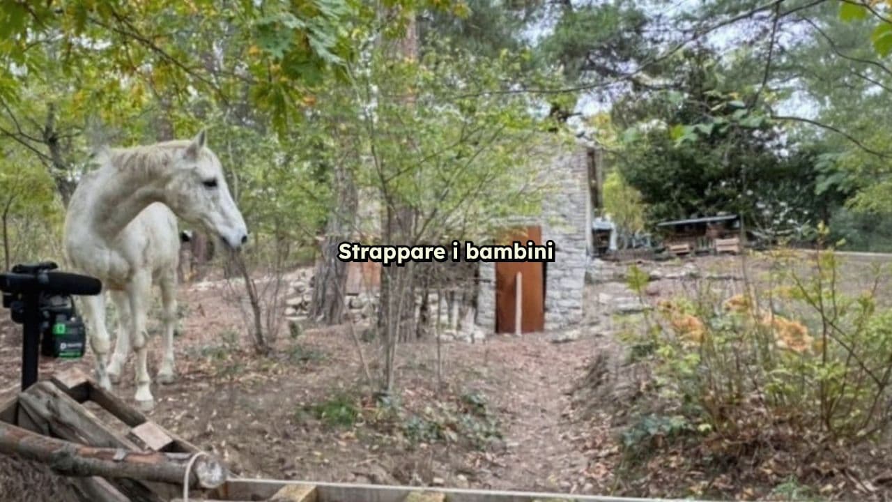 Rifiuto del modello di vita moderno