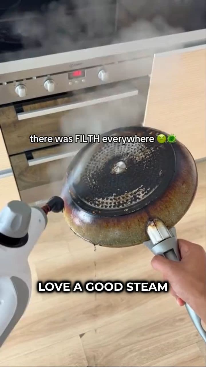 Steam Cleaning Enthusiasm