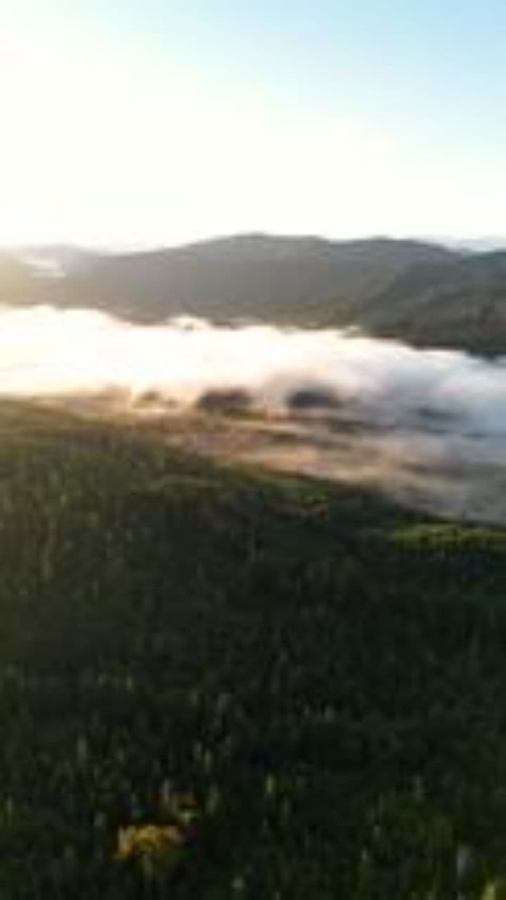 Дружба Рагнара и дракона