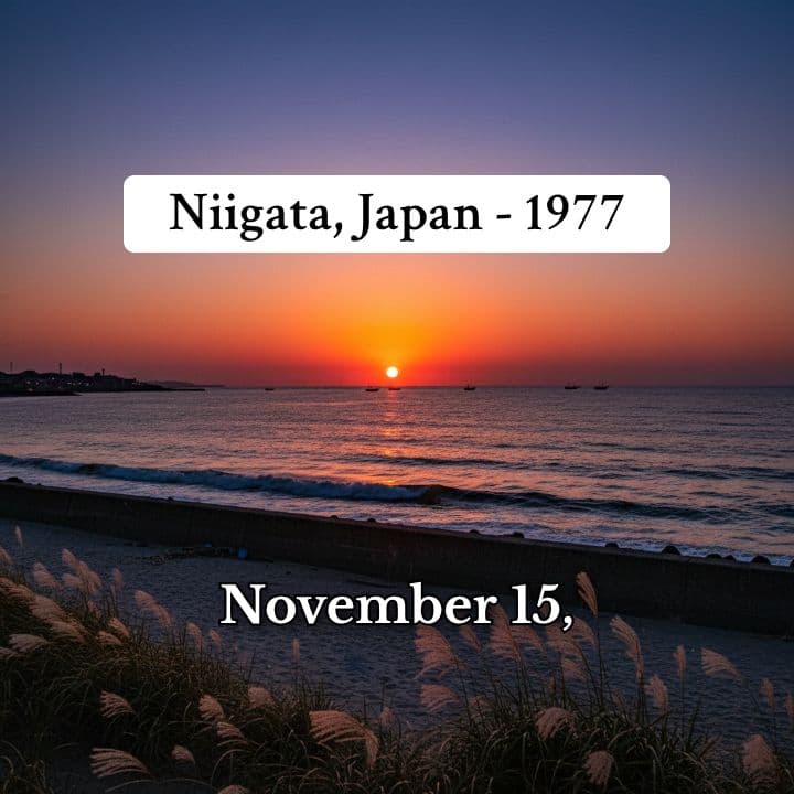 The Disappearance of Megumi Yokota