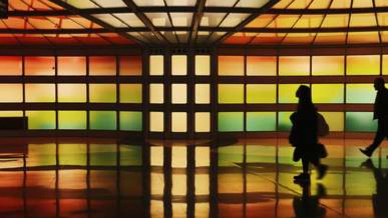 Chiku's Faithful Wait