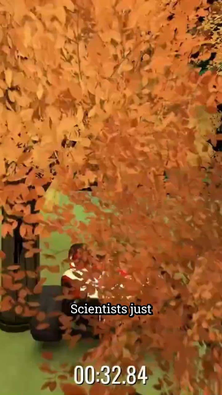 Plants Hear and Respond to Danger