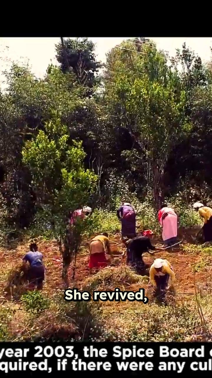 The Woman Empowering Farmers