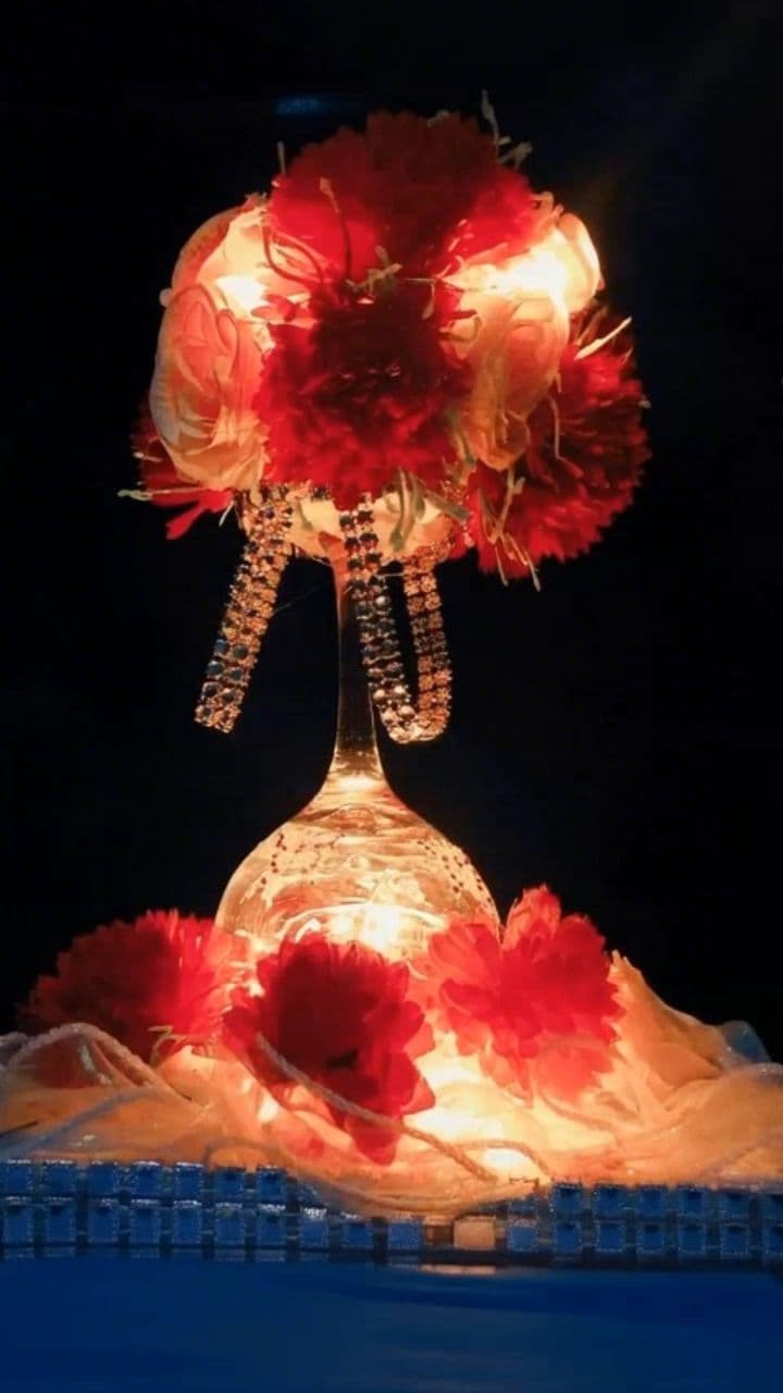 Image transform video