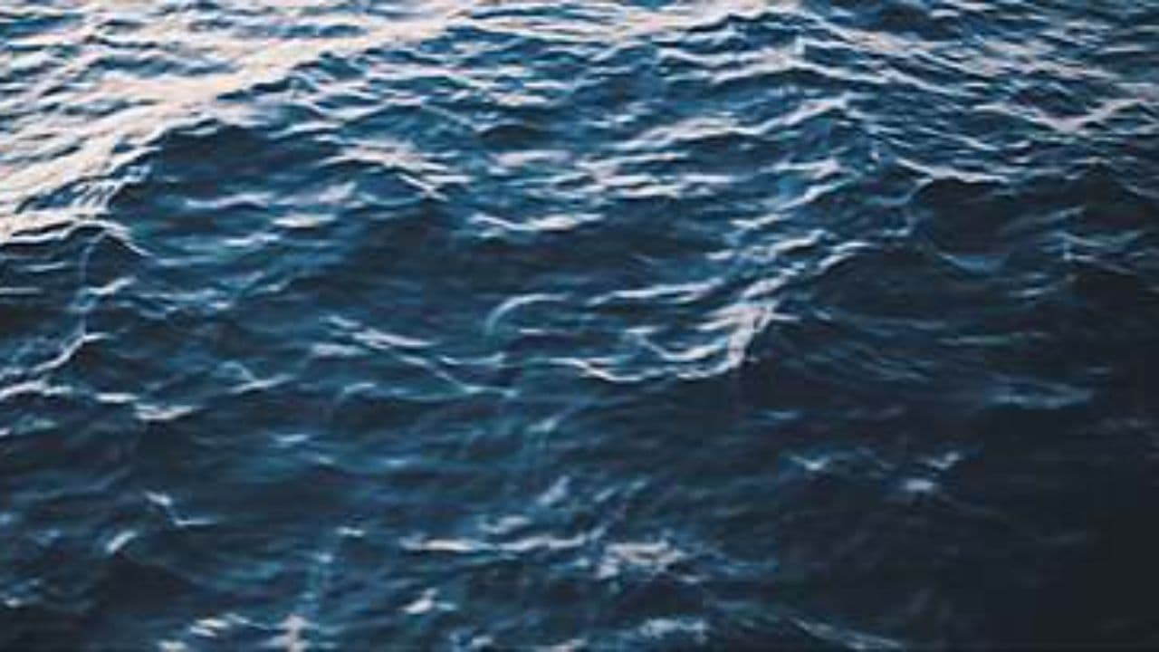 Close the Window, Calm the Light