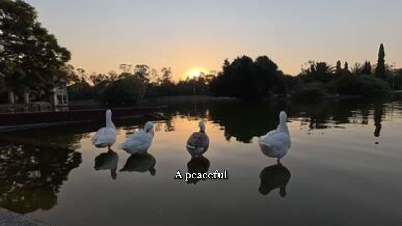 सपनों की यादें