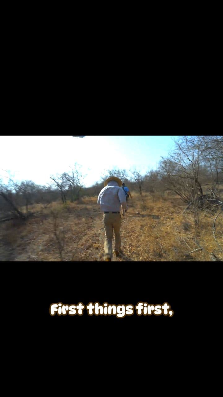 High-Tech Rhino Anti-Poaching Collars