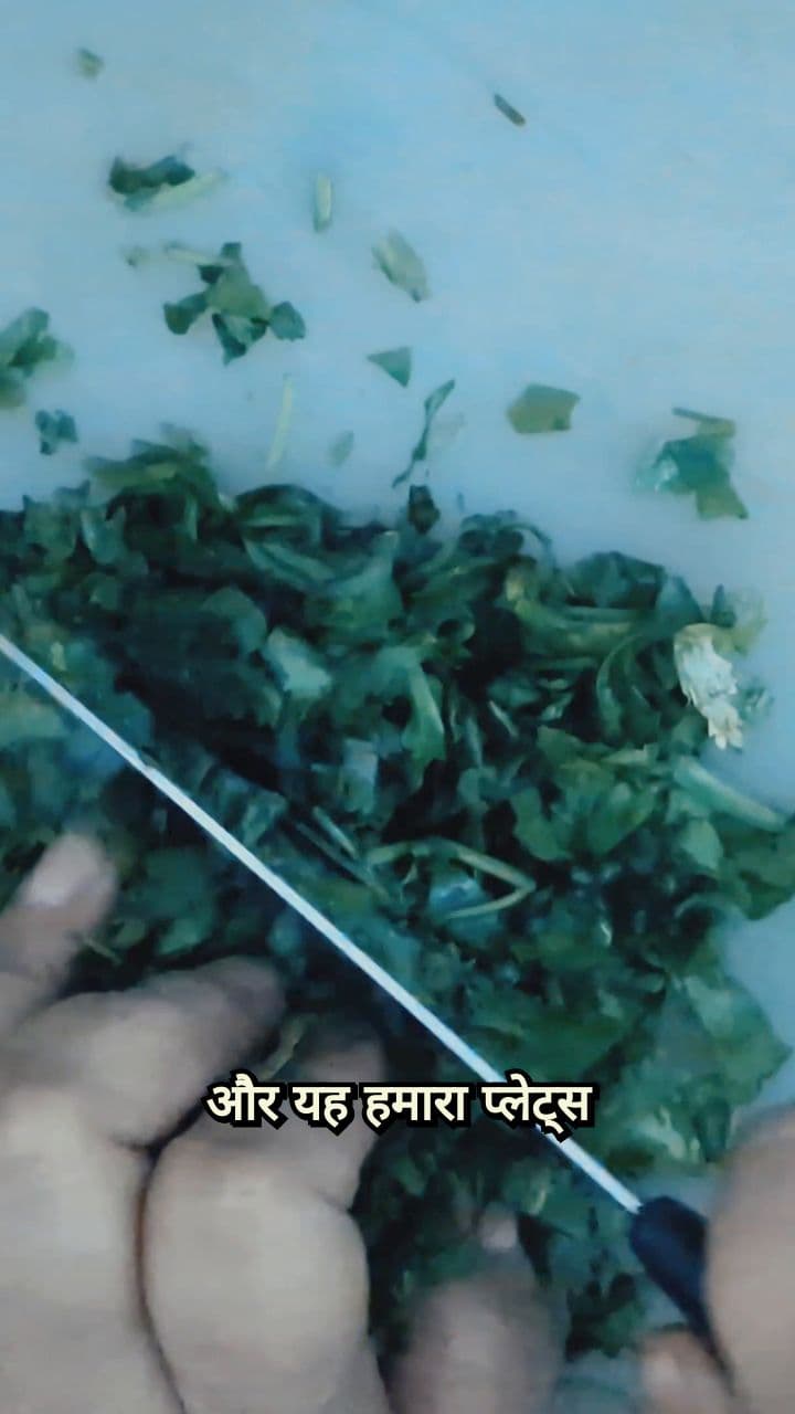 A Vegetarian & Non-Vegetarian Household Story