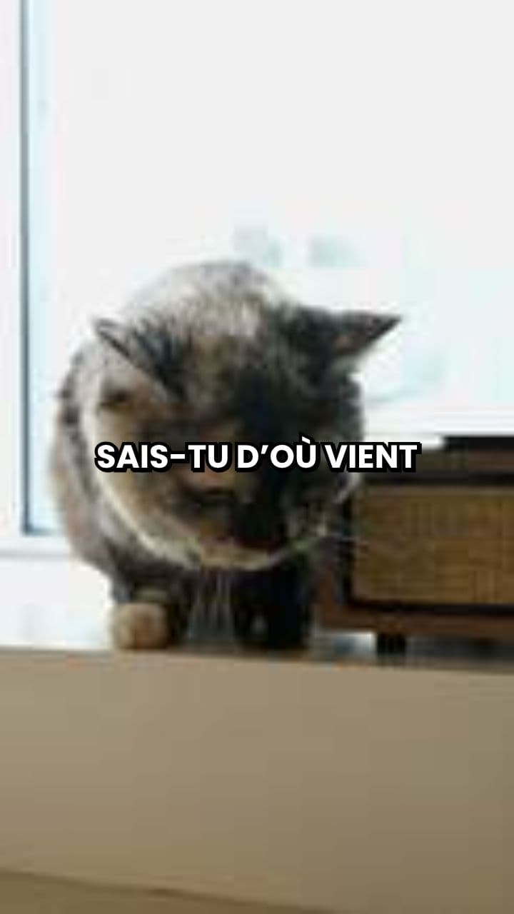 24. Appeler un chat un chat