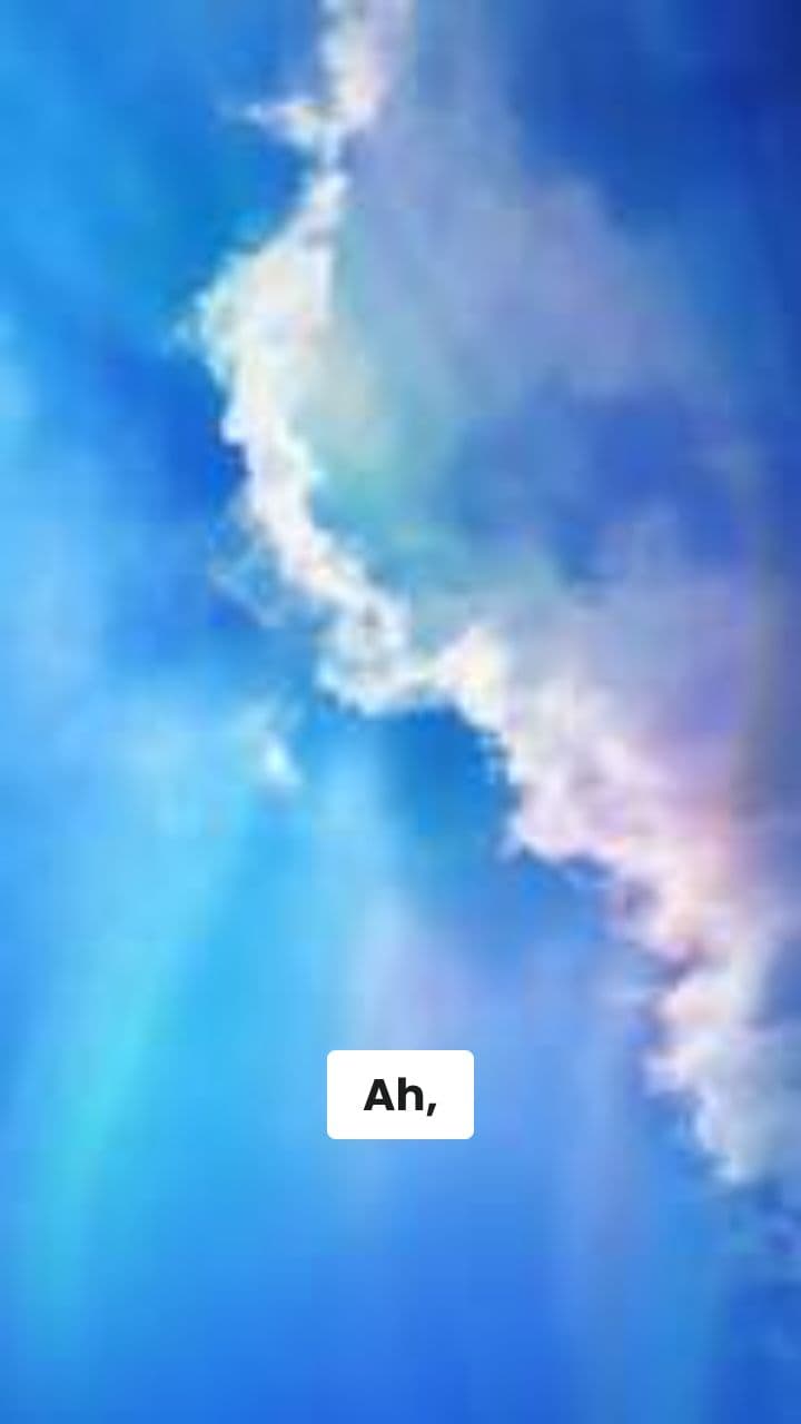 Le Avventure di Gattoburgerino