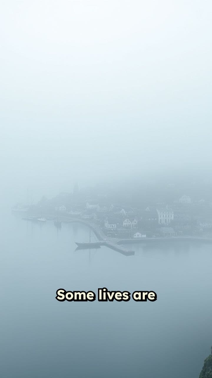 The Field Between - A Novel